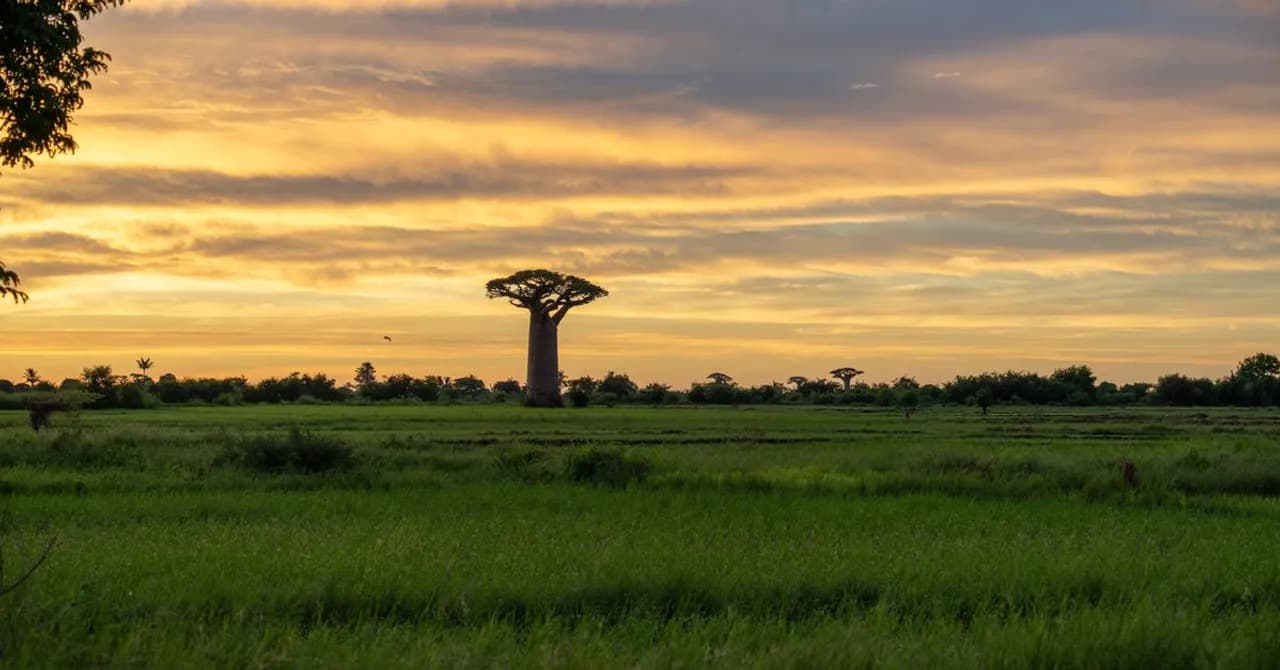 Madagaskar — Reise-eSIM-Tarife und lokale Datenabdeckung entdecken