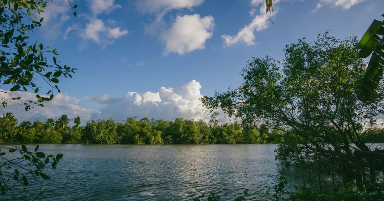 Suriname — Reise-eSIM-Tarife und lokale Datenabdeckung entdecken