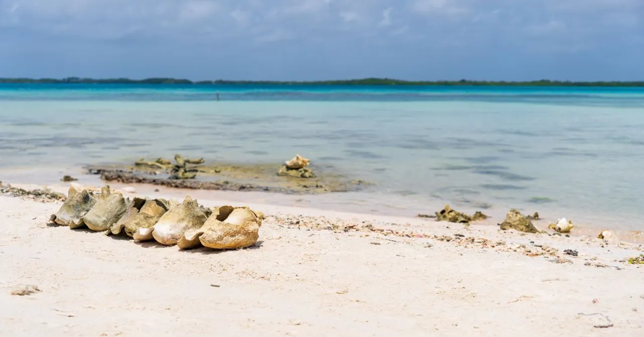 Tuvalu — Reise-eSIM-Tarife und lokale Datenabdeckung entdecken