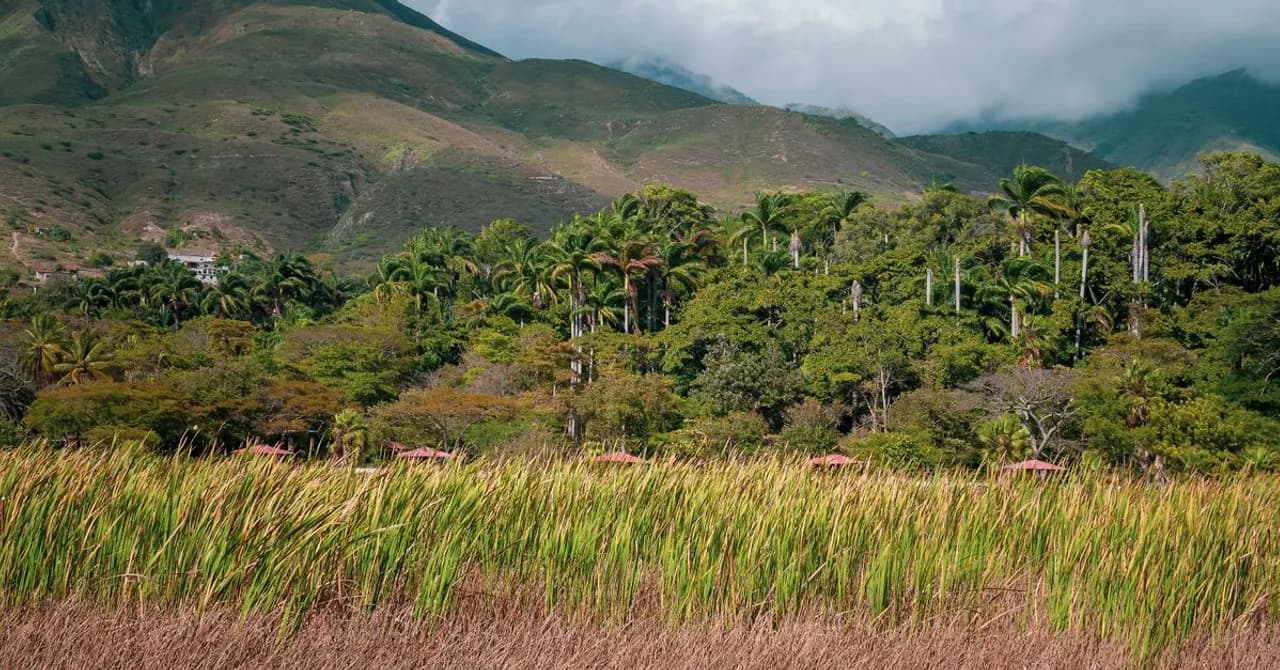 Venezuela — Reise-eSIM-Tarife und lokale Datenabdeckung entdecken