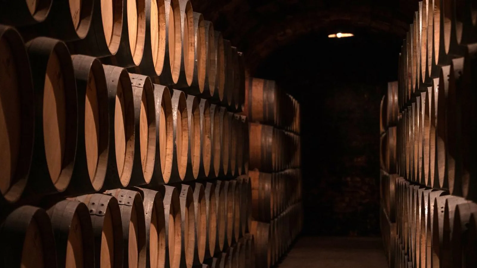Rows of wine barrels lining a dimly lit underground tunnel