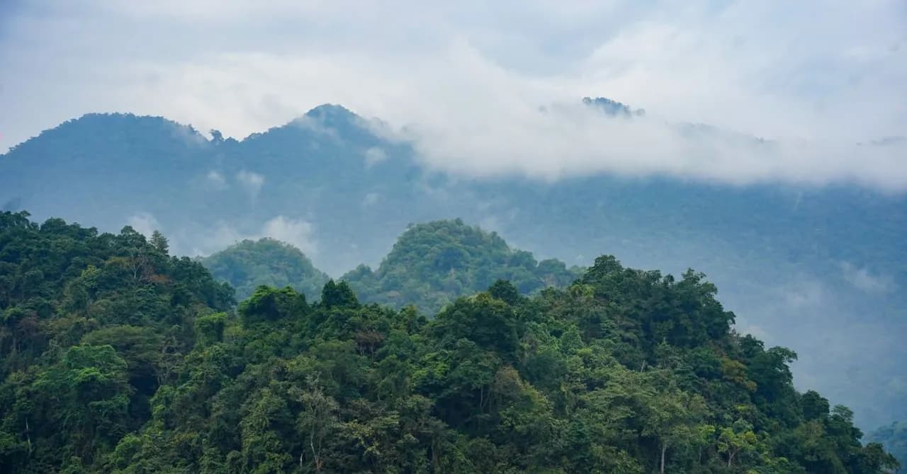 Misty green mountains and cloud forest in a tropical mountain range