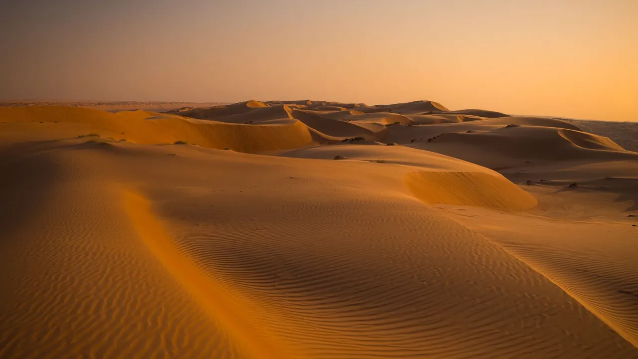 Golden sand dunes in the Wahiba Sands desert in Oman at sunset