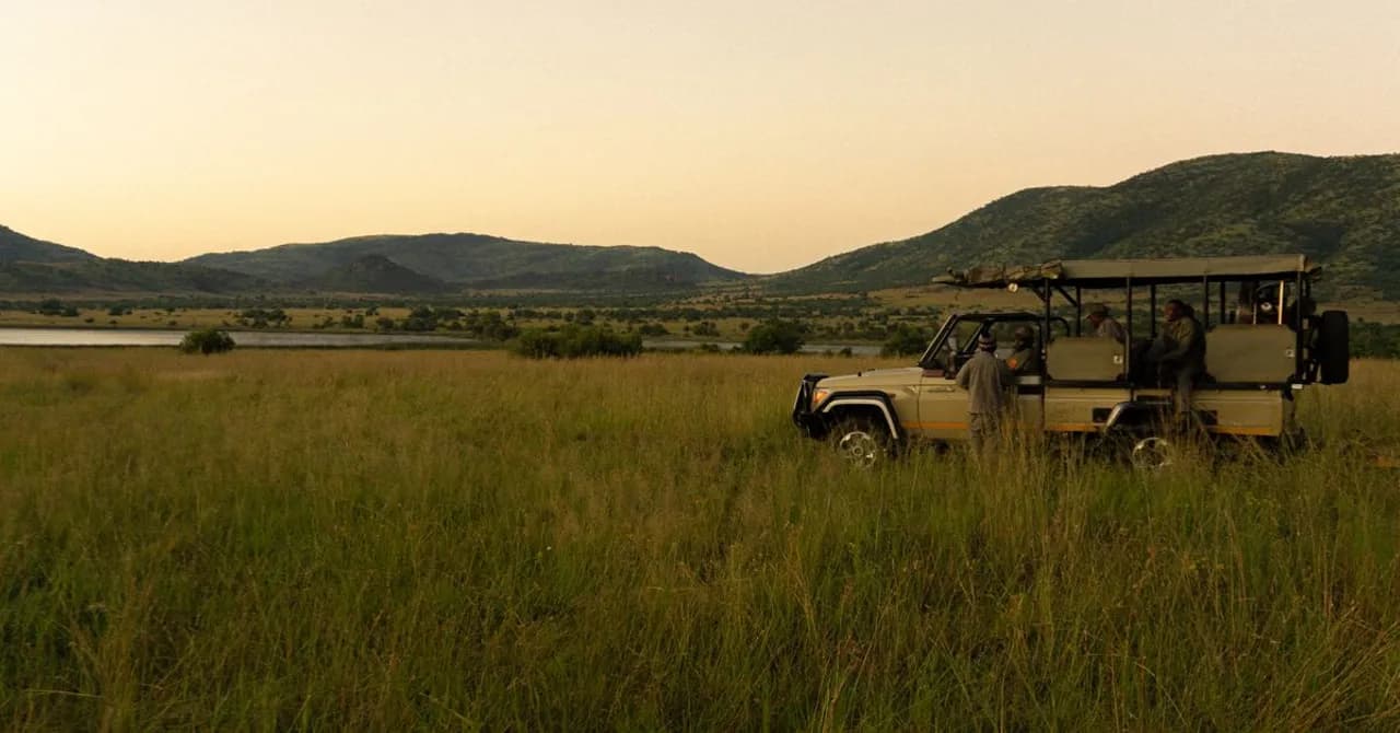 A safari vehicle with travelers on a game drive at dusk in a South African game reserve