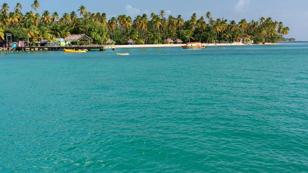 A tranquil turquoise bay with palm trees and small boats on the coast of Tobago