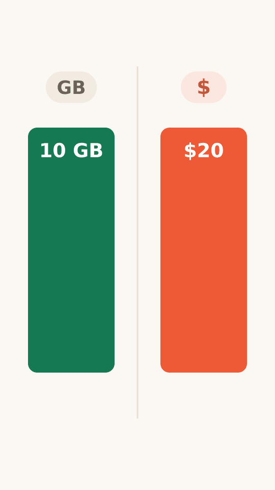 Animation comparing a fixed data bucket with a pay as you go balance: both are partly used, then the bucket's remaining 6 GB grays out and expires while the remaining 13 dollars of credit keeps a green check.